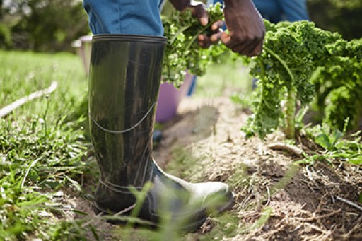 Wearing the Right Shoes While Landscaping